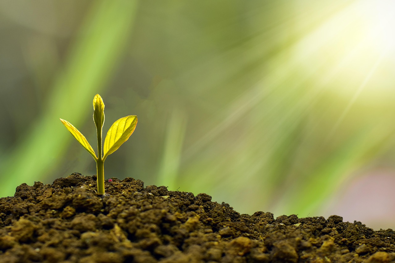 entdecken sie krisensichere investitionen: tipps und strategien, um ihr vermögen auch in unsicheren zeiten zu schützen und langfristig zu erhalten.